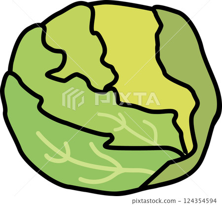 簡單可愛的捲心菜春季蔬菜插畫素材 124354594