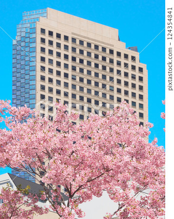 Kawazu cherry blossoms in full bloom and Shiroyama Trust Tower (March 2025) Kawazu cherry blossoms in full bloom and Shiroyama Trust Tower (March 2025) 124354841