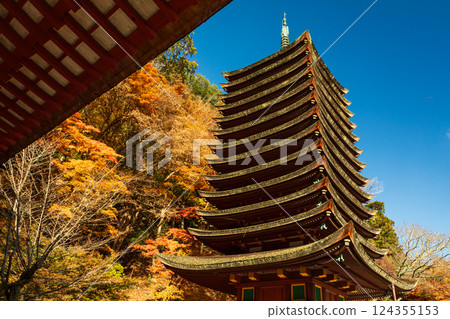 Nara: Autumn leaves at Tanzan Shrine's 13-story pagoda 124355153