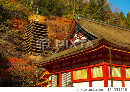 Thirteen-story pagoda with autumn leaves as seen from the grounds of Tanzan Shrine in Nara Thirteen-story pagoda with autumn leaves as seen from the grounds of Tanzan Shrine in Nara 124355526