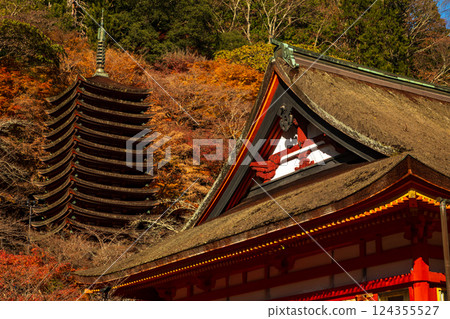 Thirteen-story pagoda with autumn leaves as seen from the grounds of Tanzan Shrine in Nara Thirteen-story pagoda with autumn leaves as seen from the grounds of Tanzan Shrine in Nara 124355527