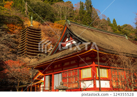 Thirteen-story pagoda with autumn leaves as seen from the grounds of Tanzan Shrine in Nara 124355528