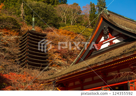 Thirteen-story pagoda with autumn leaves as seen from the grounds of Tanzan Shrine in Nara 124355592