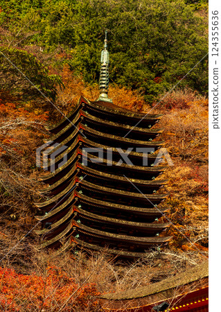 Nara: Autumn leaves at Tanzan Shrine's 13-story pagoda 124355636