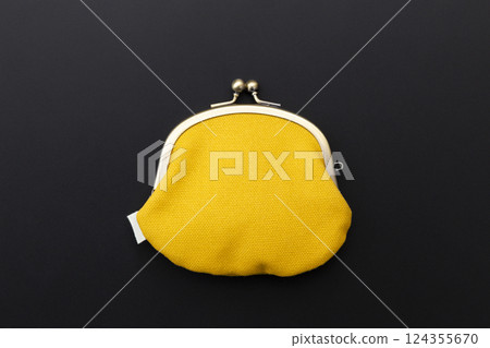 Coin purse on a black background 124355670