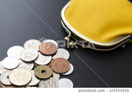 黑色背景中的皮夾和硬幣 124355830
