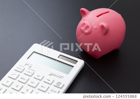 Calculator and Piggy Bank 124355868