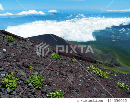 [山景]靜岡縣富士宮線七合目附近景色（2019） 124356035