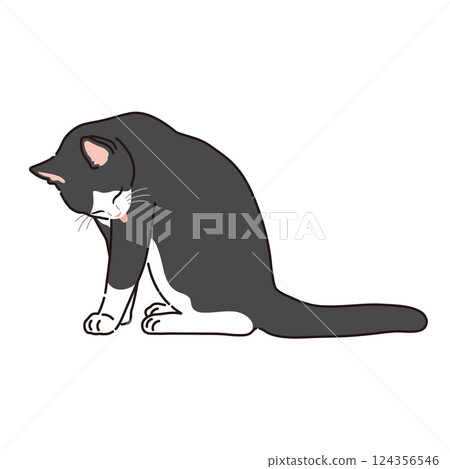 一隻黑白相間的貓在梳理自己的插圖 124356546