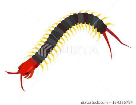 centipede centipede 124356794