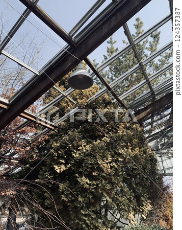 Inside the complex of the botanical garden. Inside the complex of the botanical garden. 124357387