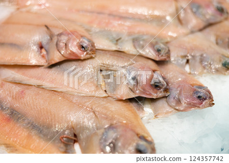Crumbled ice, carcasses of solea fish trunk lie on its surface, close up 124357742