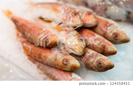 Crumbled ice, pile carcasses of red mullet lie on ice surface, close up 124358451