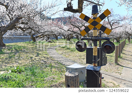 Spring landscape with railroad crossing 124359022