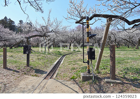 Spring landscape with railroad crossing 124359023
