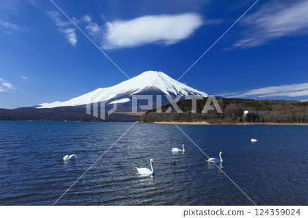 Mount Fuji with hanging clouds Mount Fuji with hanging clouds 124359024