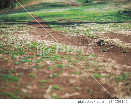 春天漫步 - 草木自然的步道 124359141