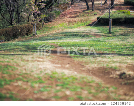 Walking in Spring - A Natural Trail of Grass and Soil 124359142