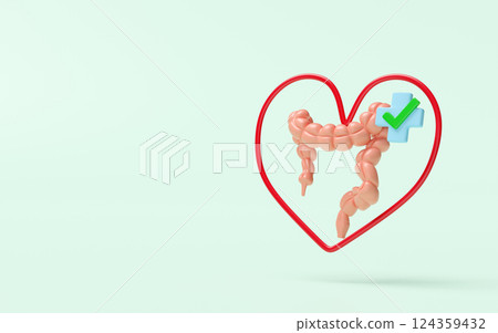 3d realistic human colon with heart, cross, check mark isolated on green background. check colon  health, love health concept, 3d illustration render 124359432