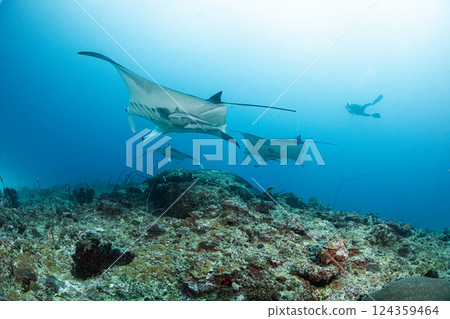 愛的感覺 愛的感覺 124359464