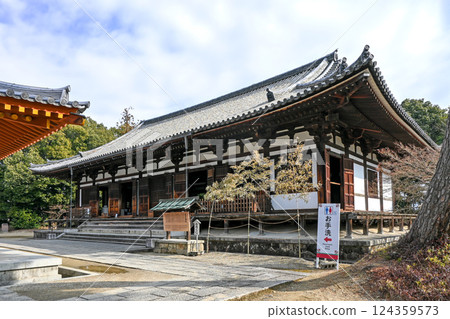 Nara, Nishinokyo, Yakushiji Temple, Toindo Nara, Nishinokyo, Yakushiji Temple, Toindo 124359573