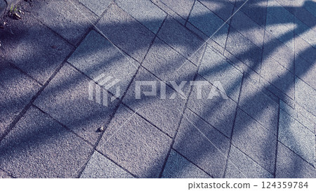 路邊樹木成蔭的人行道 124359784