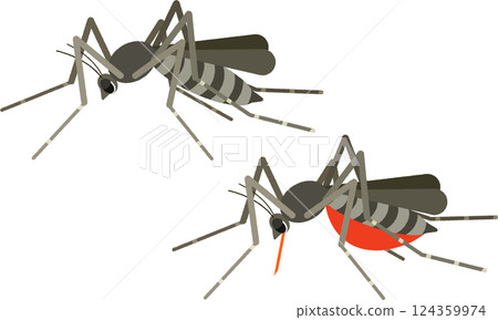 Illustration of a mosquito sucking blood 124359974