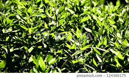 圍欄 圍欄 124360175