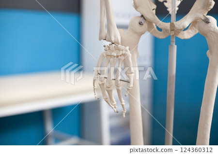 Closeup of hand skeleton placed in empty clinic office with hospital cabinet and bed in background for osteopathic examination. Detailed shot of palmar skeletal structure of human body in medical room 124360312