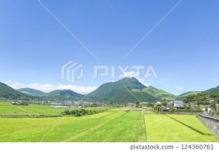 Yufuin Yufudake and paddy field 124360761