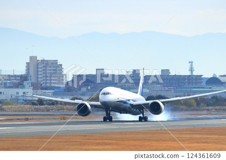 Osaka International Airport ANA Airplane Landing Sky Park Osaka International Airport ANA Airplane Landing Sky Park 124361609
