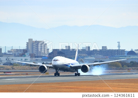 Osaka International Airport ANA Airplane Landing Sky Park Osaka International Airport ANA Airplane Landing Sky Park 124361611