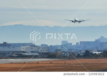 Osaka International Airport ANA Airplane Landing Sky Park Osaka International Airport ANA Airplane Landing Sky Park 124361622