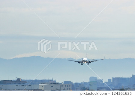 大阪國際機場全日空飛機降落空中公園 124361625