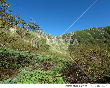 Senjojiki捲曲的好天氣 124361626