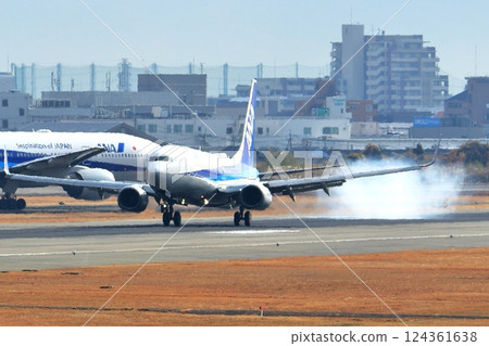 Osaka International Airport ANA Airplane Landing Sky Park 124361638