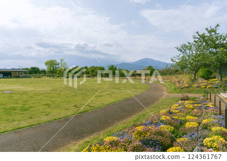 花庭園 / 花環繞的草坪公園 / 神奈川縣平塚市，4月 124361767