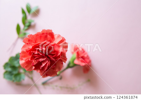 Carnations and Greenery 124361874
