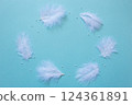 Feather Ring 124361891
