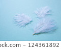 White feather close-up 124361892