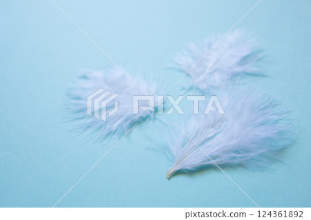White feather close-up 124361892