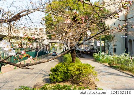 Flower Michi Flower Michi 124362118