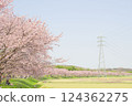 Cherry blossom trees at Kitaasaba Sakura Tsutsumi Park_002 124362275