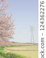 Cherry blossom trees at Kitaasaba Sakura Tsutsumi Park_001 124362276