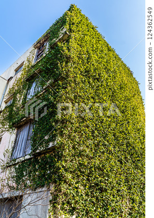 Ikeshima 2025 Abandoned apartment [Nagasaki City] 124362549