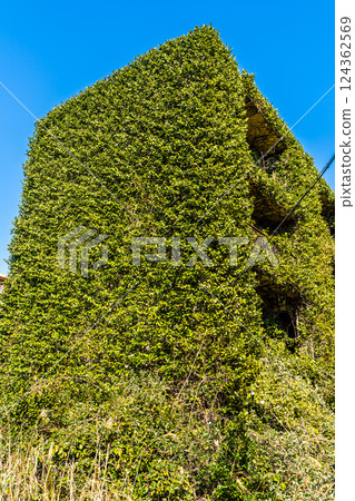 Ikeshima 2025 Abandoned apartment [Nagasaki City] 124362569