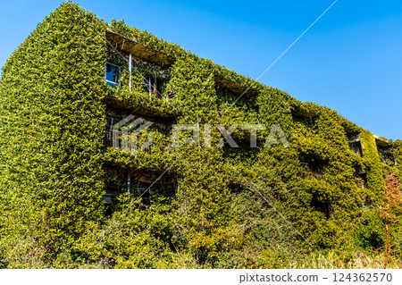 Ikeshima 2025 Abandoned apartment [Nagasaki City] 124362570