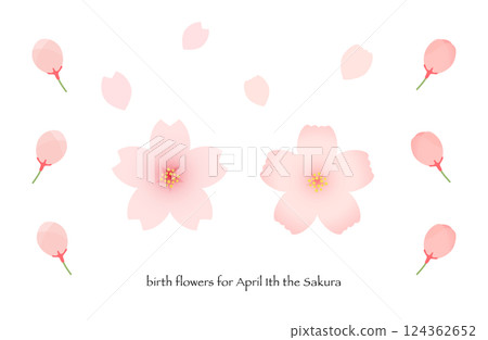 櫻花和芽 124362652