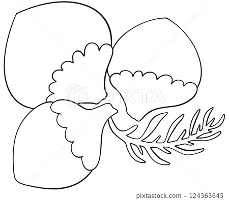 Coloring page Pineapple weed Flowers Edible Flowers Coloring page Pineapple weed Flowers Edible Flowers 124363645