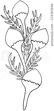 Coloring page Pineapple weed Flowers Edible Flowers 124363646